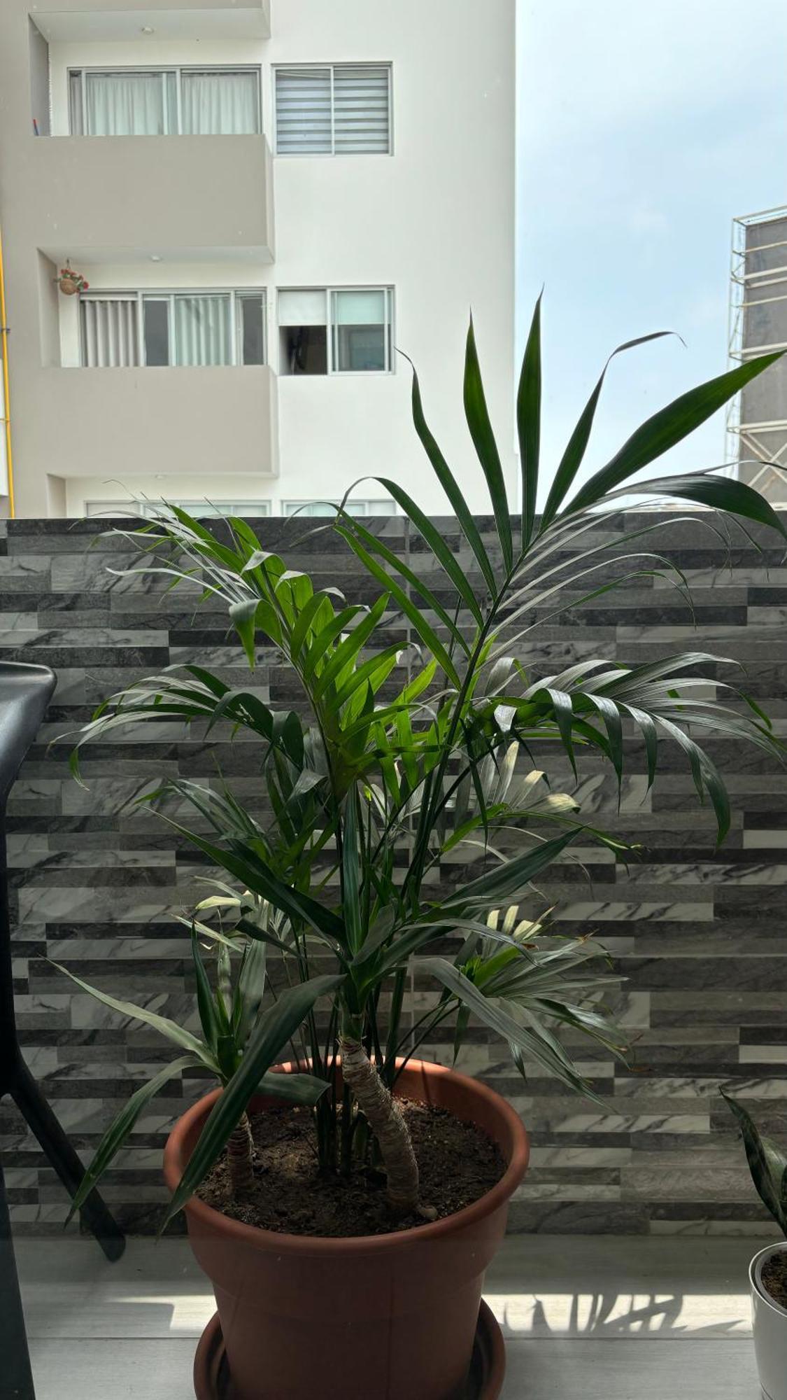 Departamento En Miraflores Con Surquillo Lima Dış mekan fotoğraf